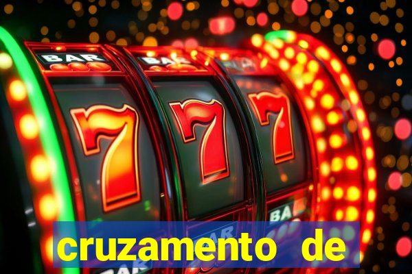 cruzamento de cavalo com mula